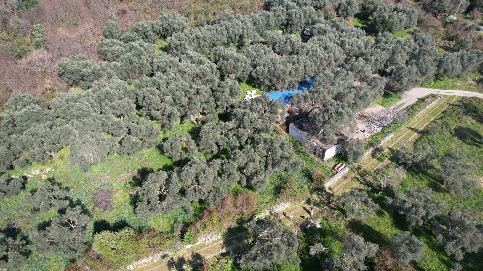 04362bb8-c963-4dce-9787-f7965a337de5