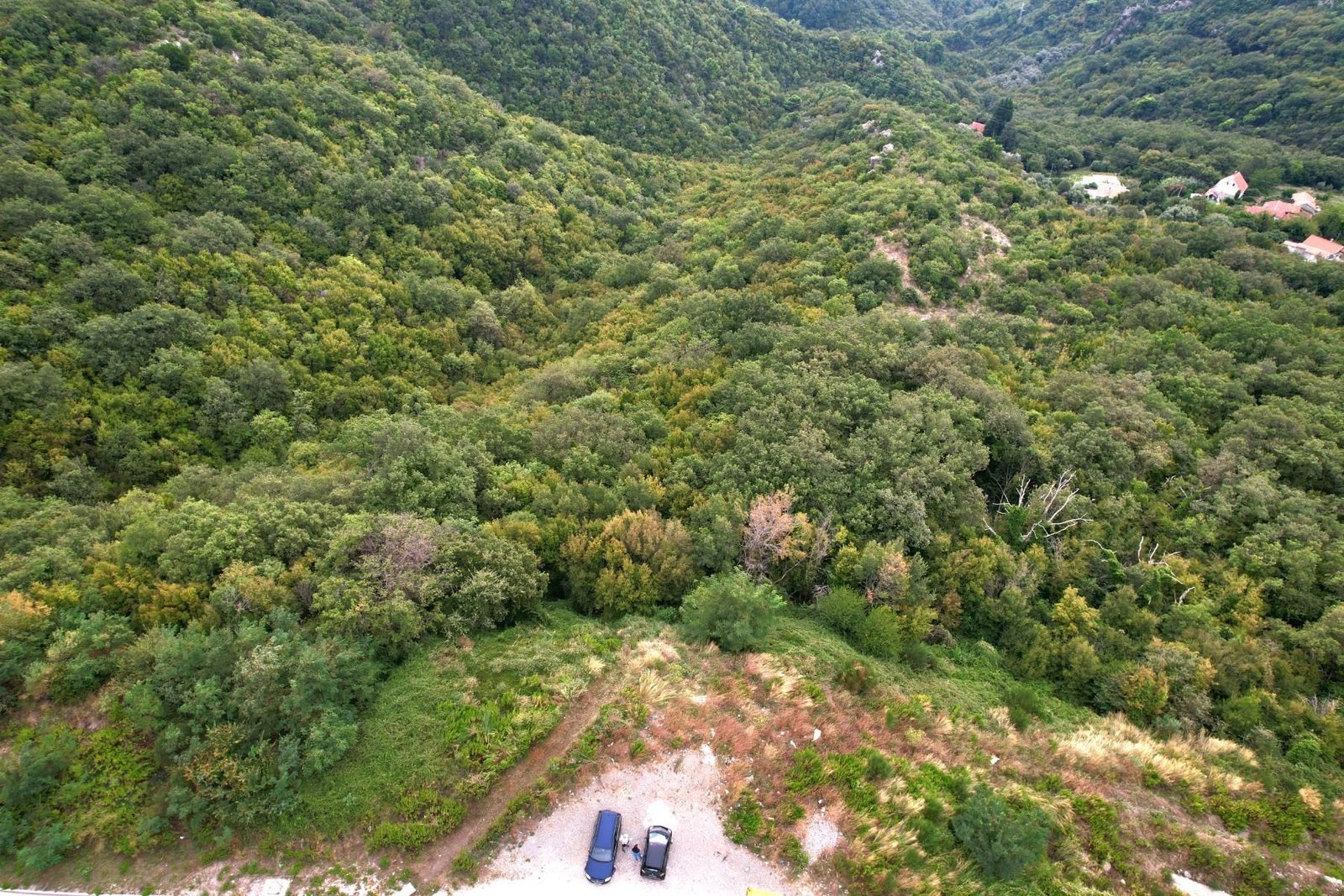 0c376f3c-1dac-446e-8148-127e7fbca480