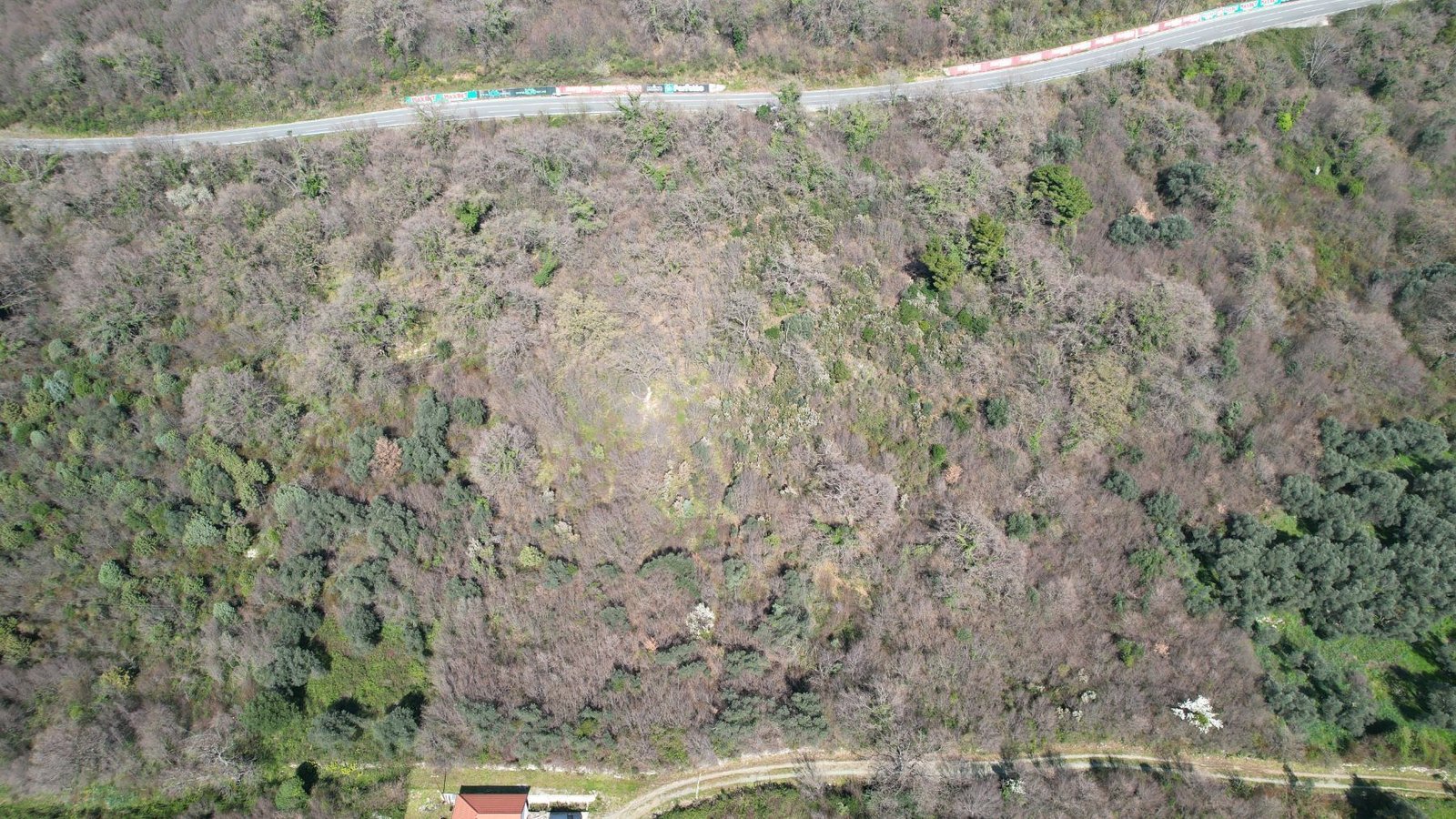 10010471-cd3e-4d77-91a0-cd52b02e89c4