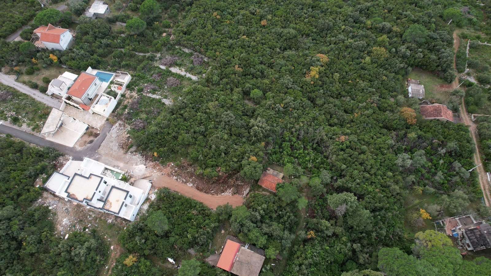 1565d92e-8dd3-4598-9357-ea5f3bd1034f