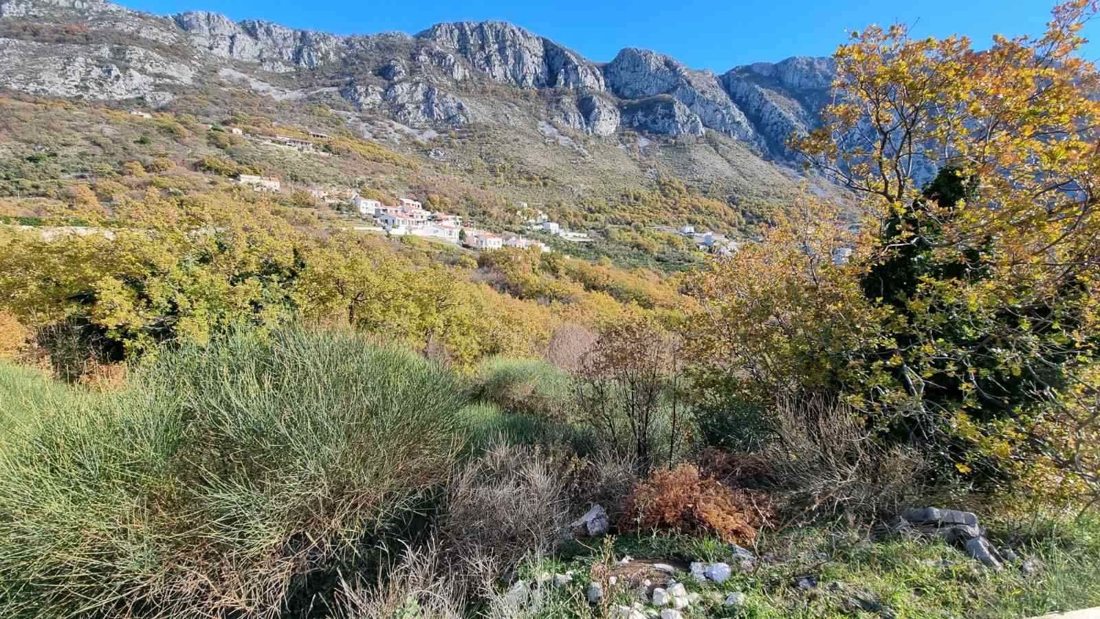 1641280214-8934uiefgjkdf