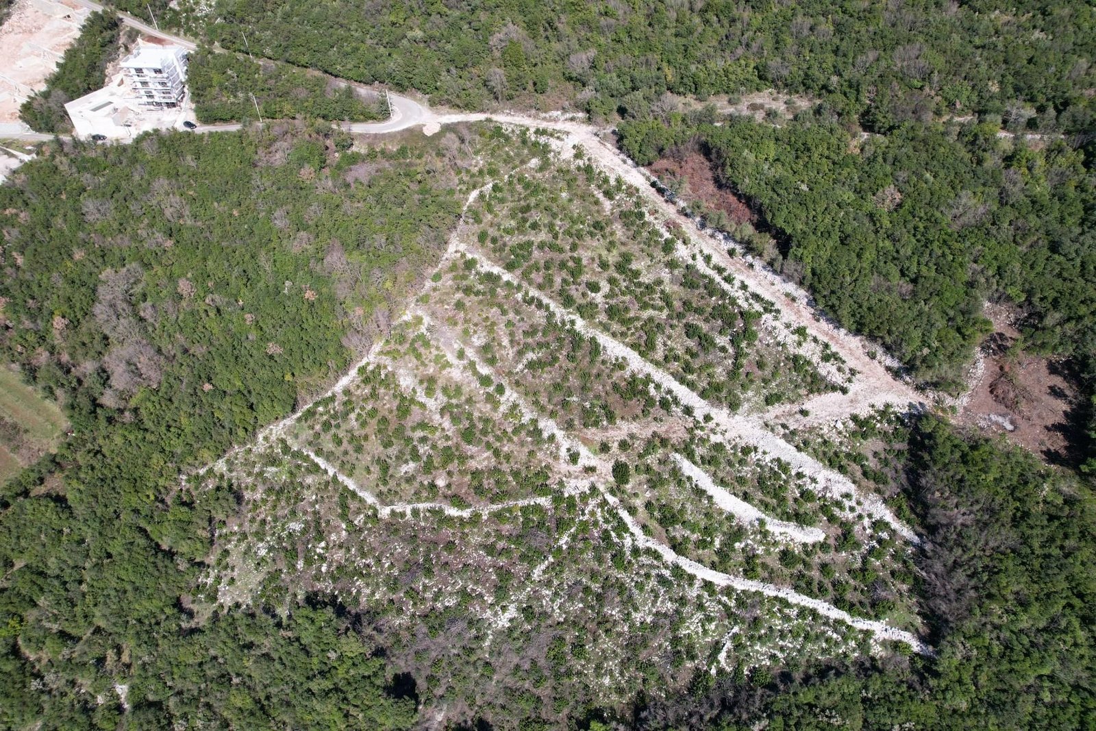 1679067395-viber_slika_2023-03-16_17-02-35-842