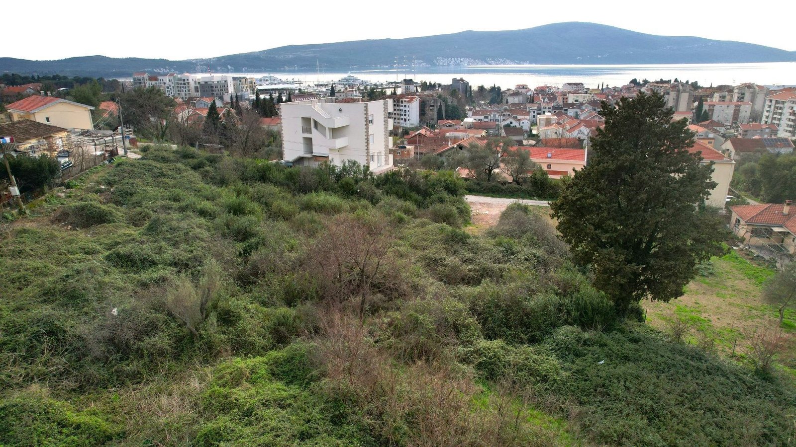 217668ef-57ea-4a4b-8d36-aa0ac44418e5