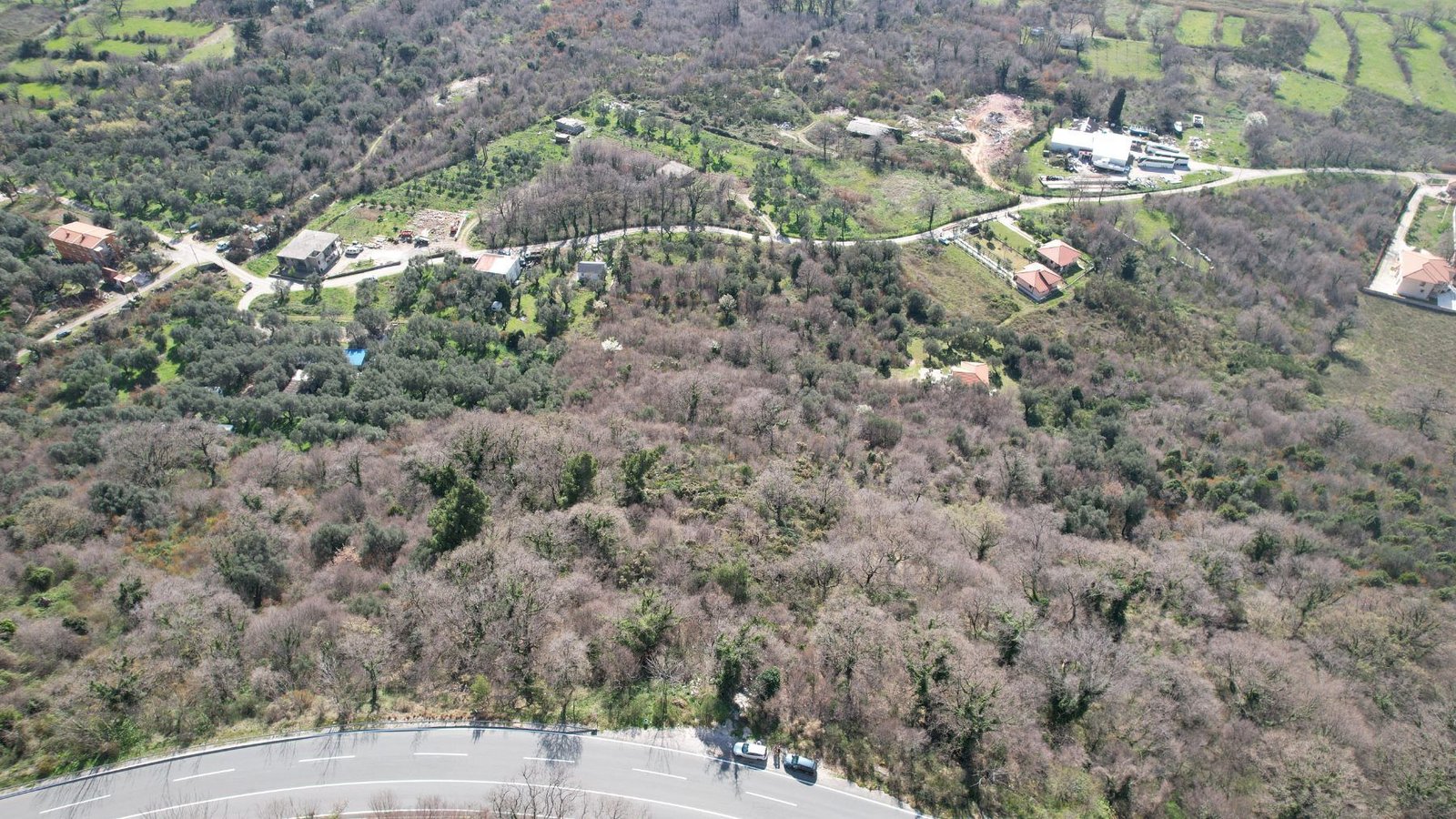 23d99595-6d7c-4f21-8db3-70eed55bb142