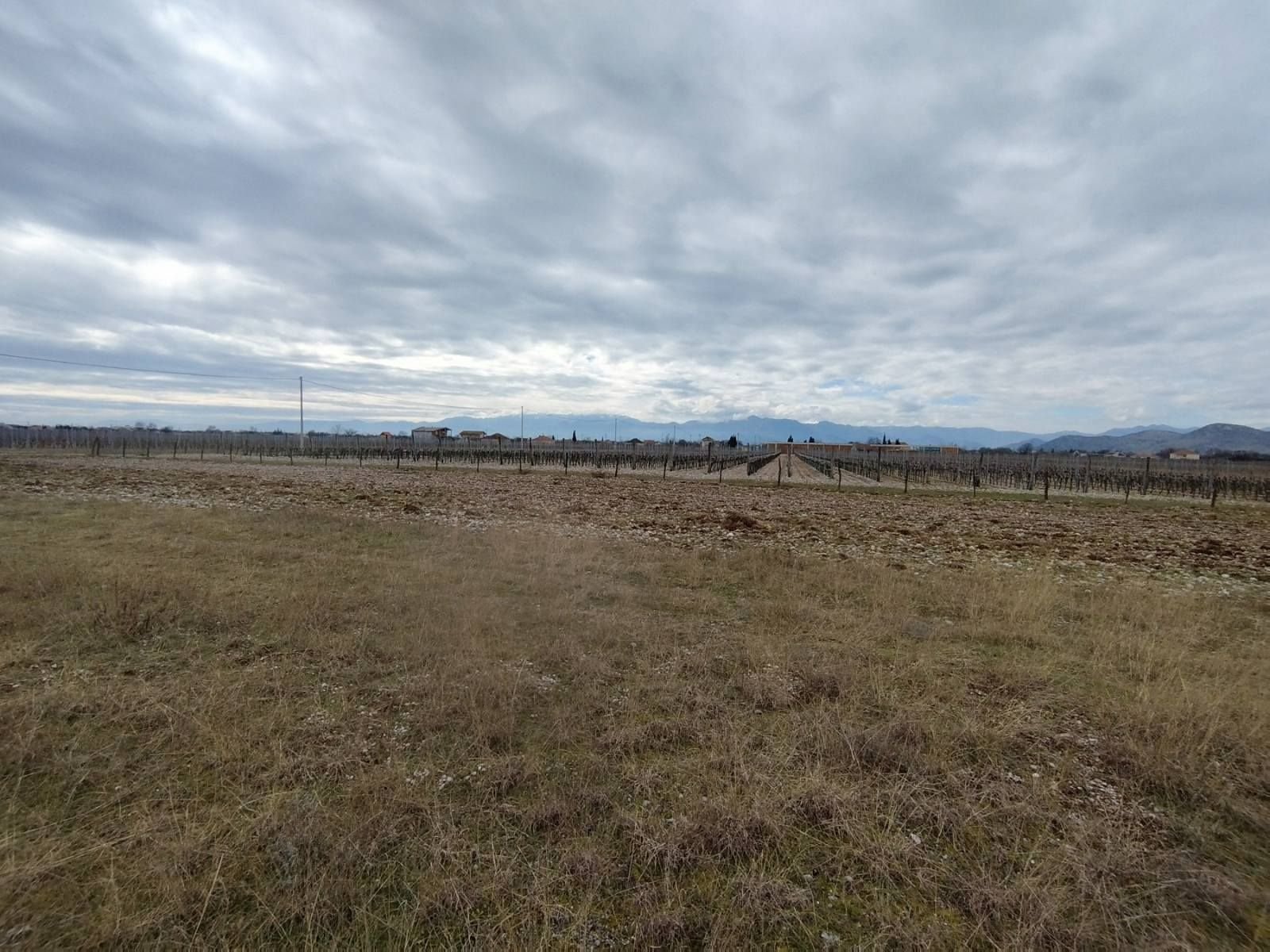 3389500d-c6a8-4507-98d3-c4eecc77fd50