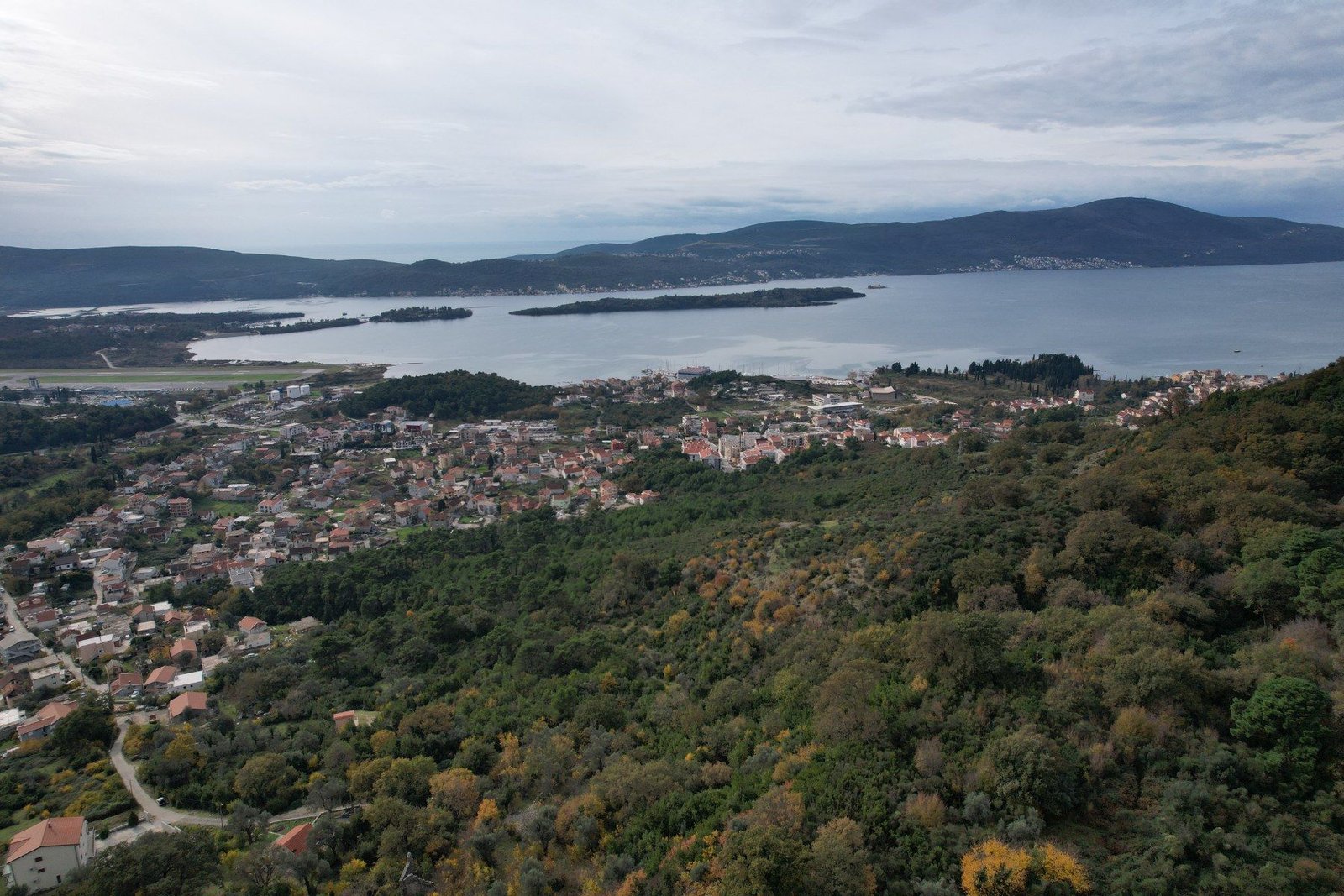 33a6bf03-7204-4385-aa1e-ca47fe94e989