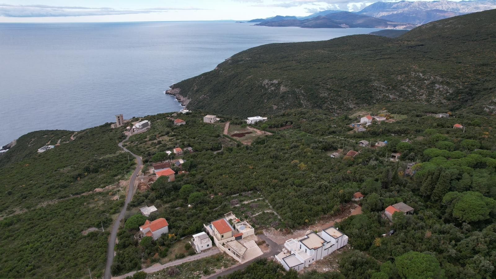 53e3921d-4368-4f2b-8e0d-94150c59cf64