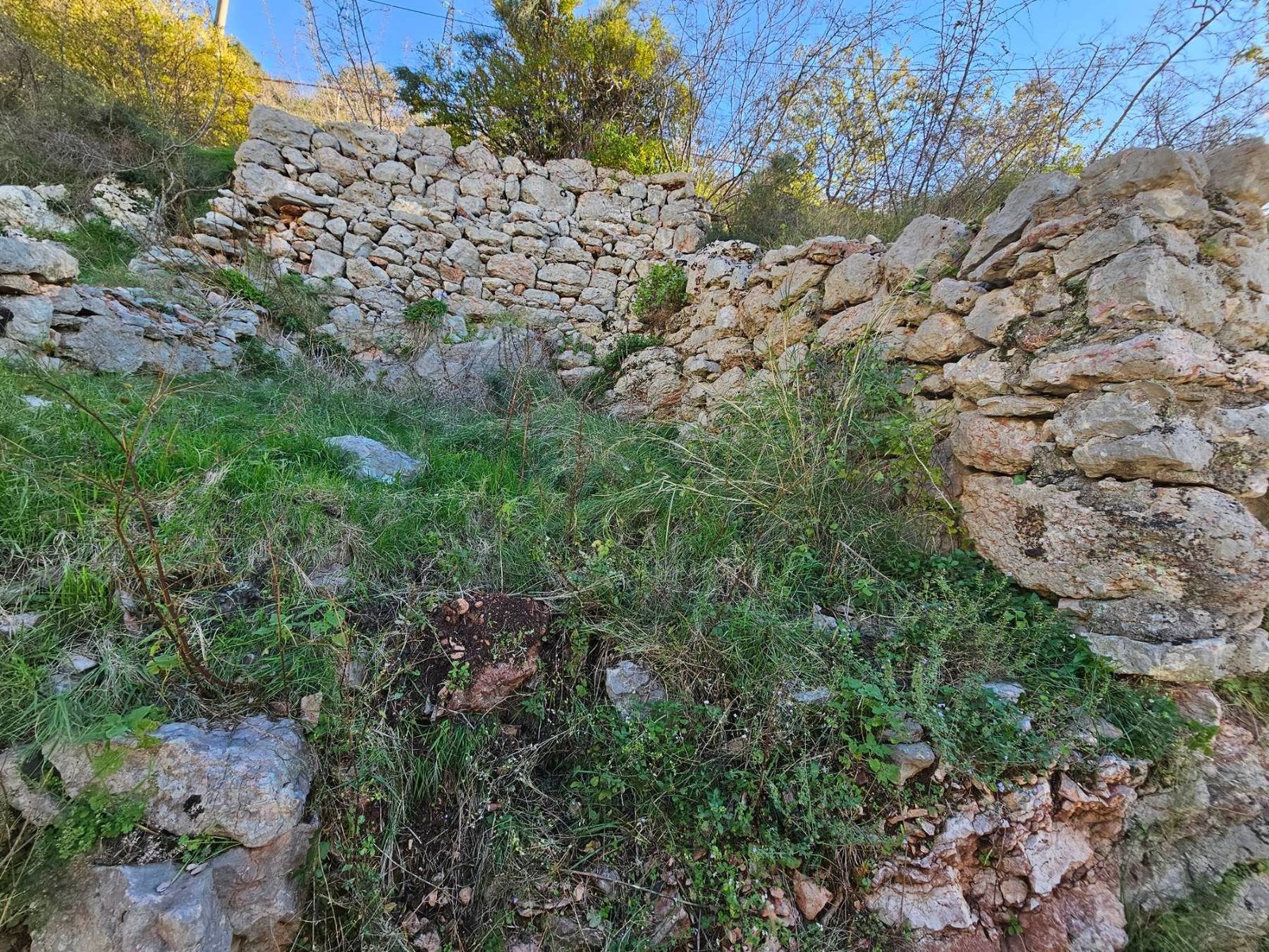 5b922194-978b-4532-b319-8ce5a9805fb2