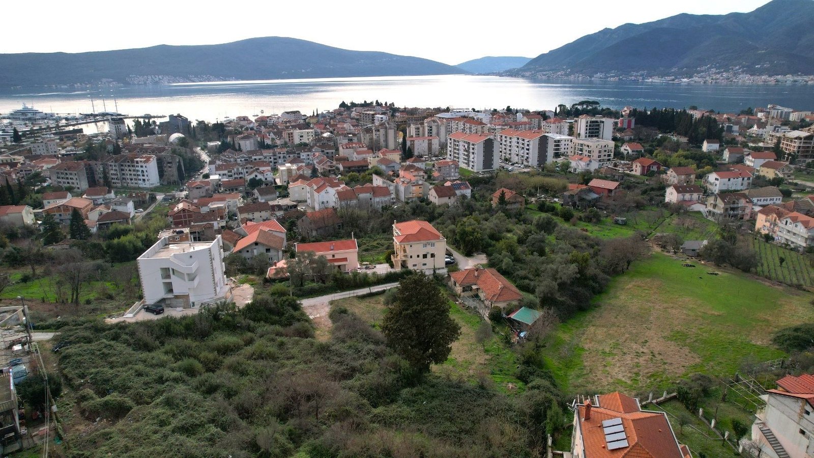 61cddc16-93f7-41a4-9ff9-366fa0970fbc