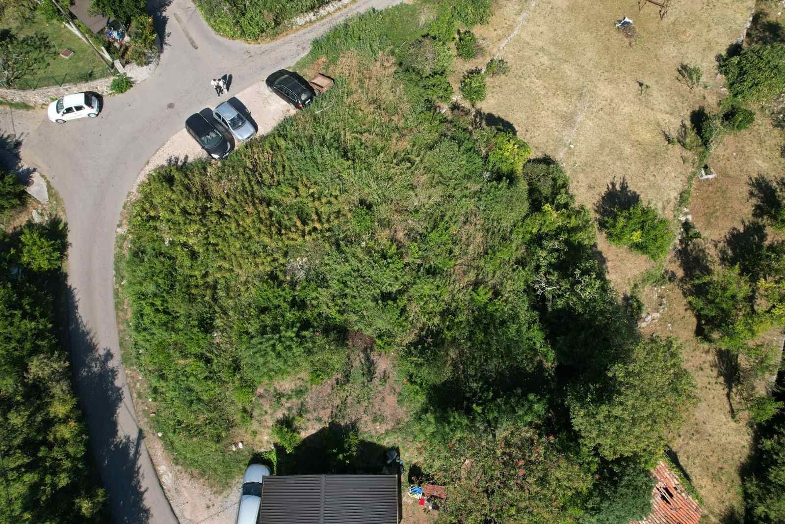 68f8a577-8f20-4138-9df2-18bd4c5b94e6