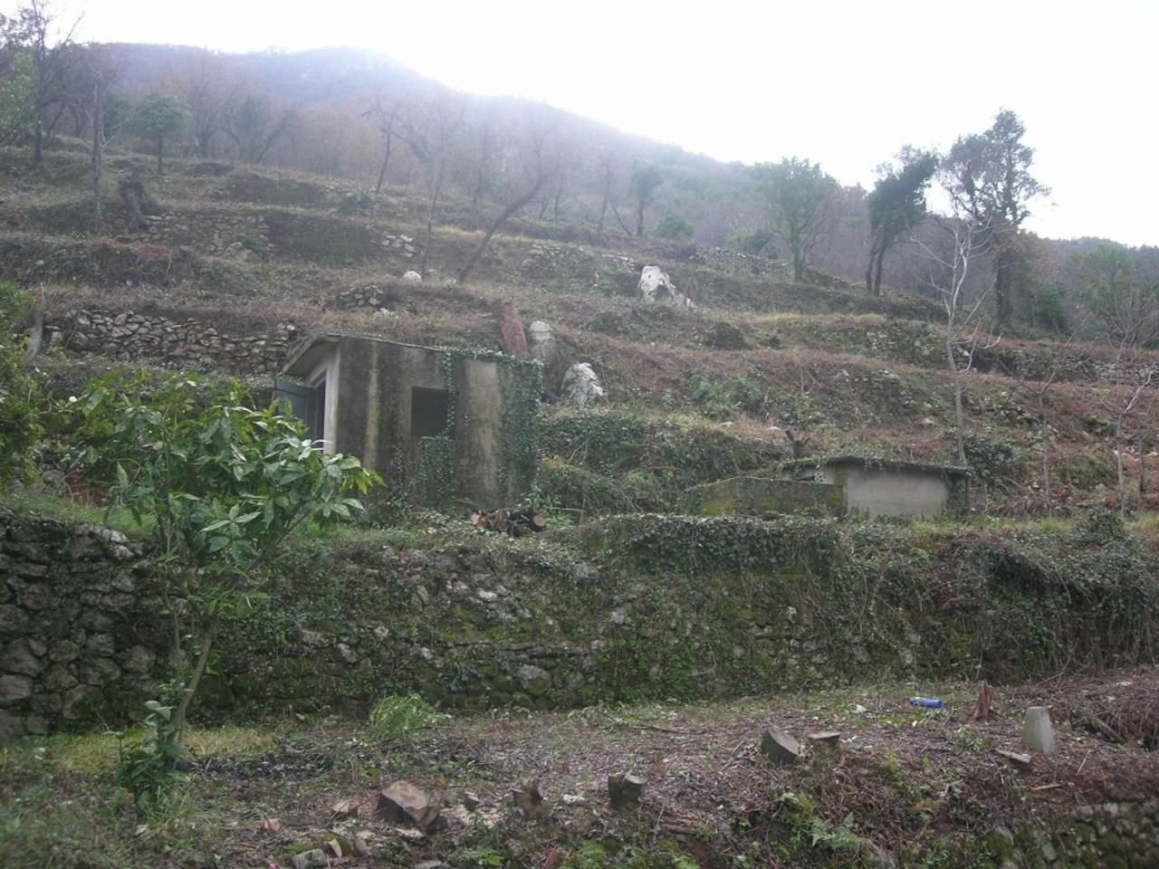 6d795377-439b-4616-ae5e-65363d12ff6a