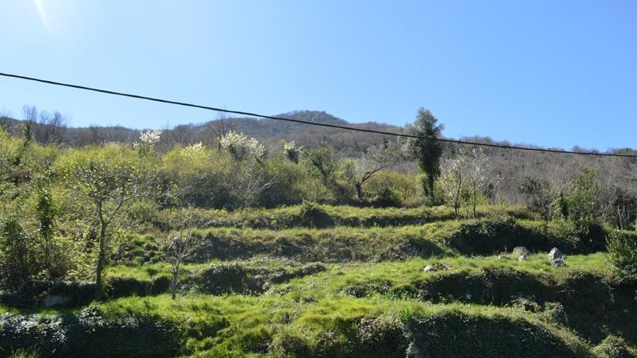 7d176a42-930b-4238-99f4-6db73f3a4978