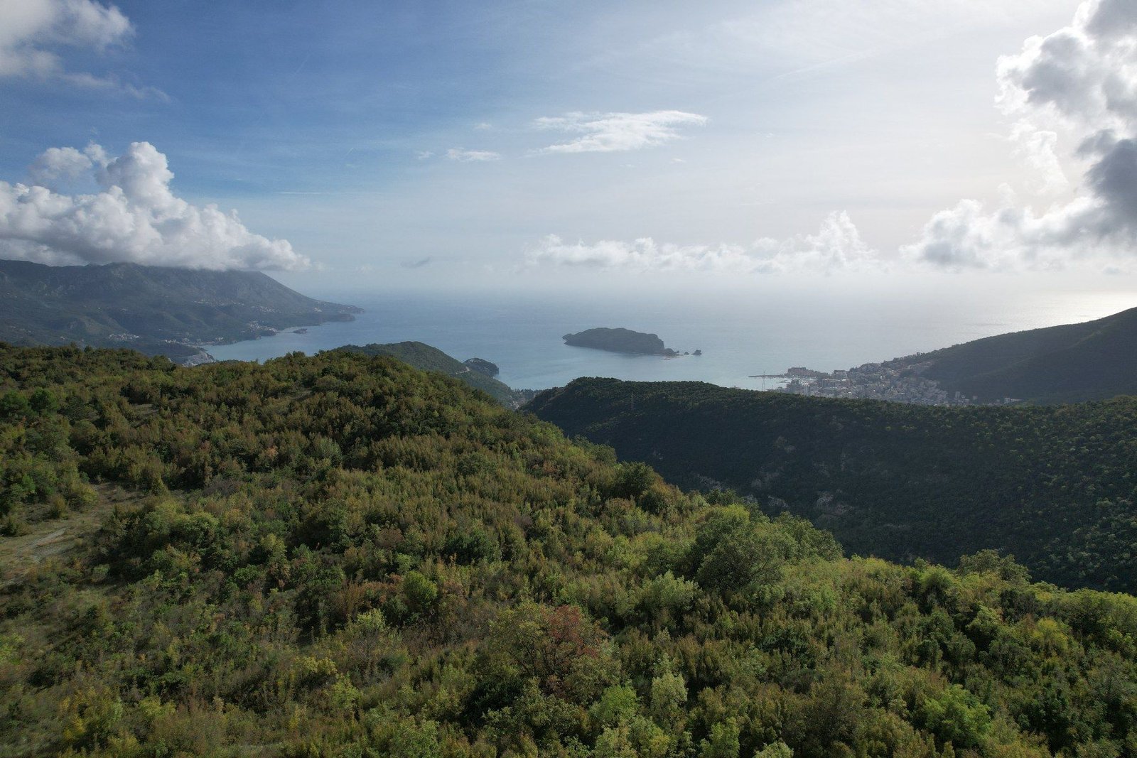 83ec7371-0df1-4f2a-8a48-1694e217b3e9