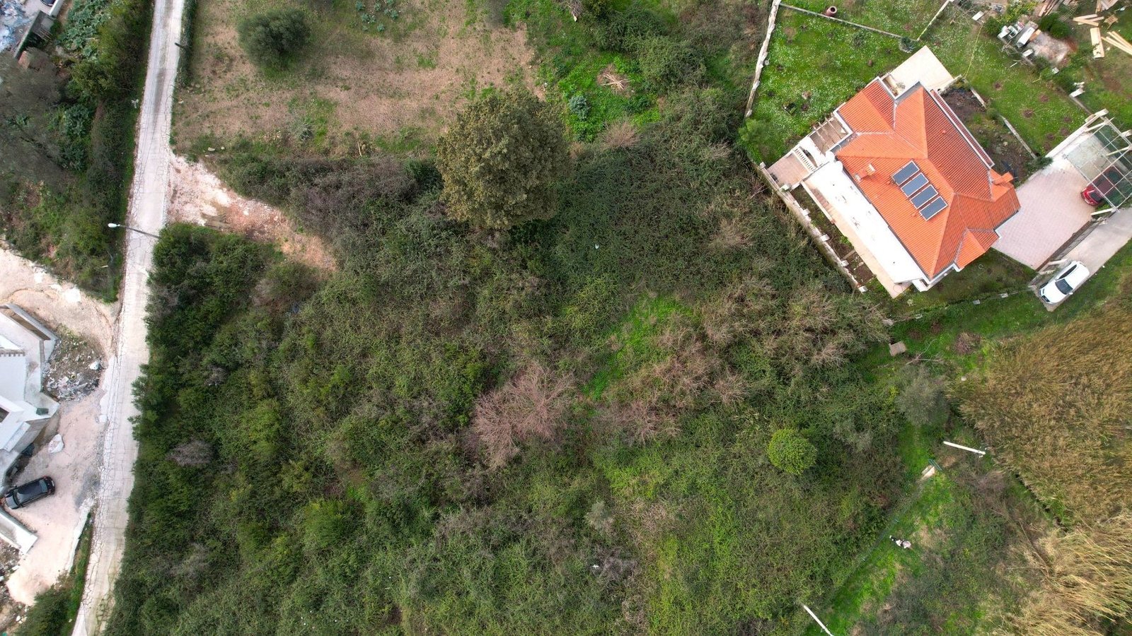 8e2866f5-fc11-4ff8-8d73-ed14b634113d