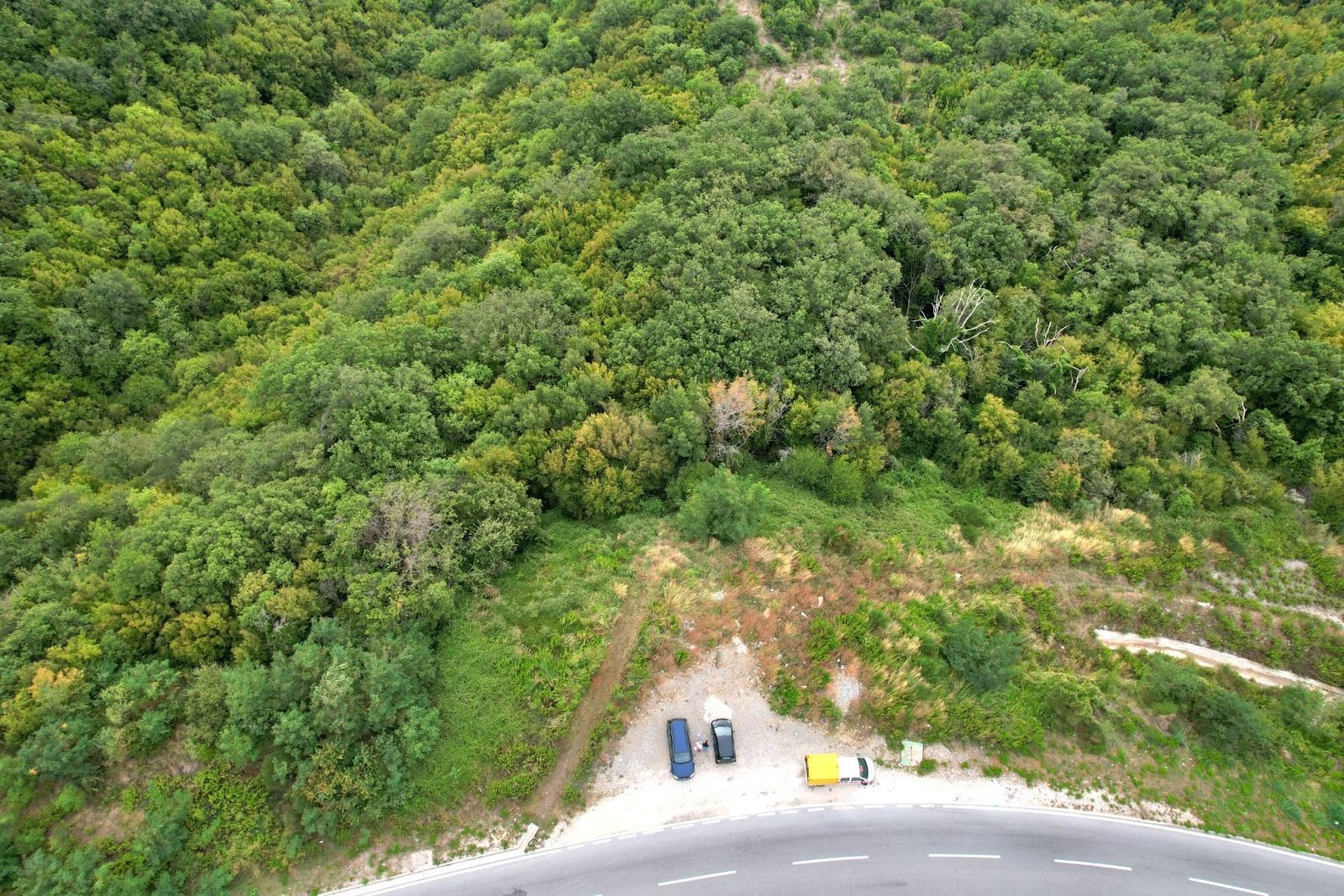 9443f1f5-031d-4e4a-8bd8-7b5d5680e61e