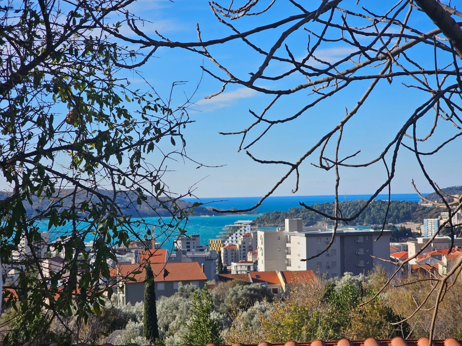 9b77de87-4ba1-428e-92d9-a1d1d3d02355