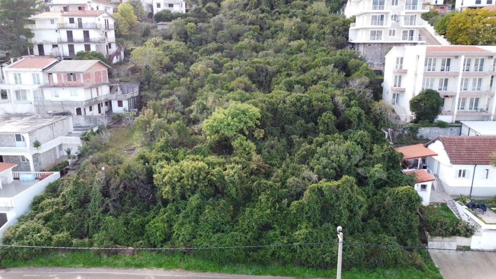 IMG-0bb3192013878d9f2e2a3ea1831b39b7-V