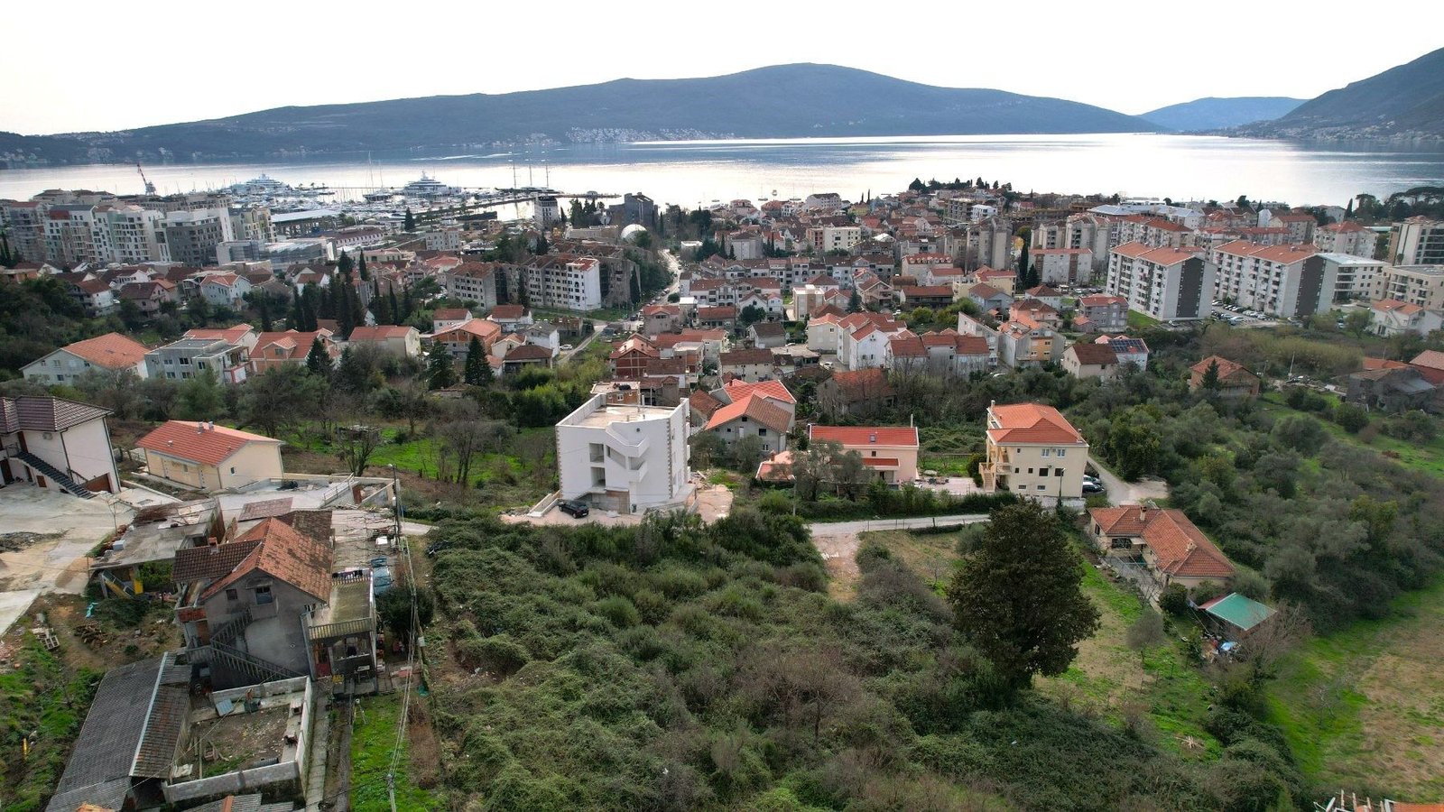 a4550cda-e407-4d02-b5f0-2fcfc4a2b542