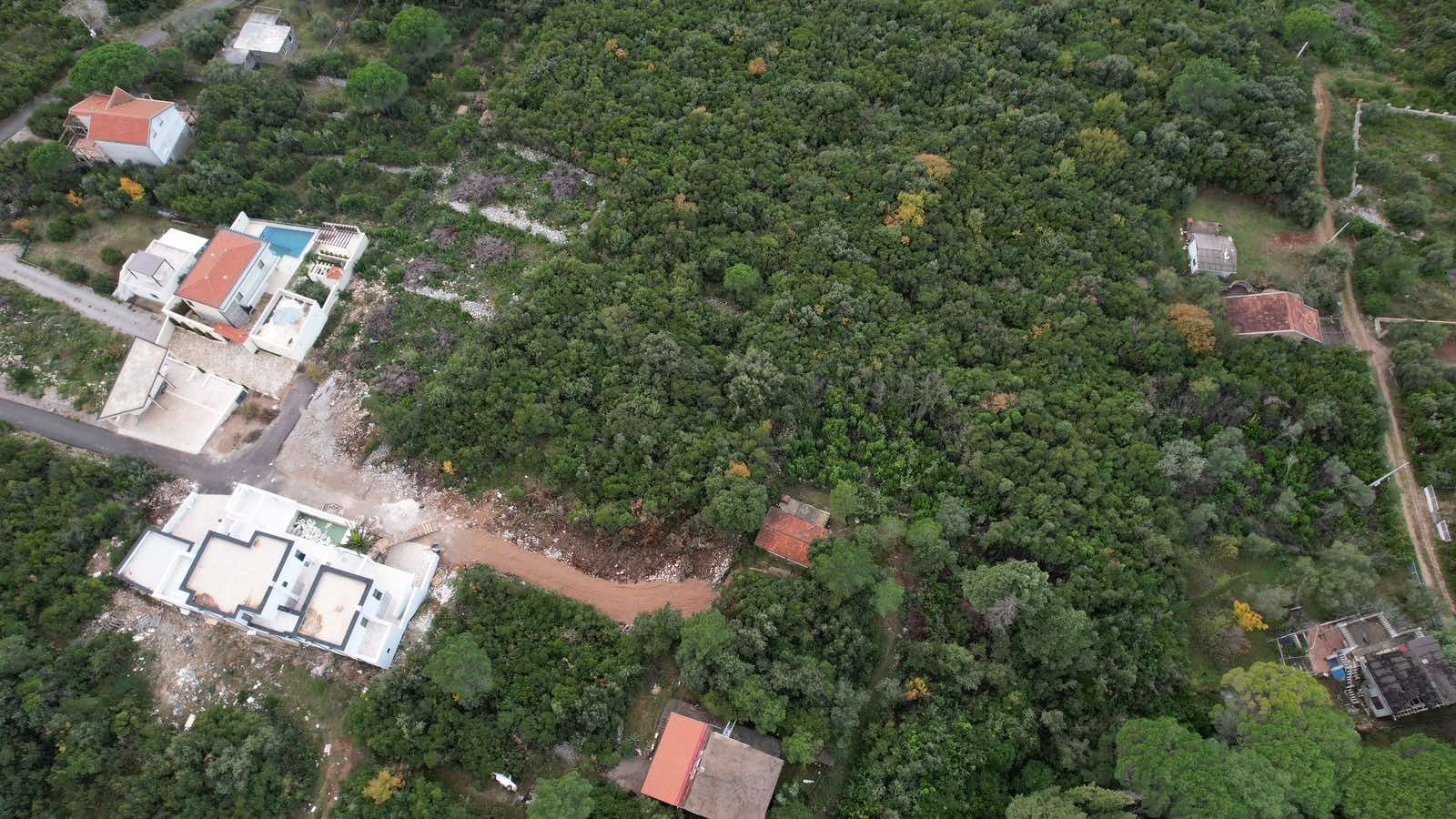 ade15f20-3d64-42ff-bea4-fc295de3edb2