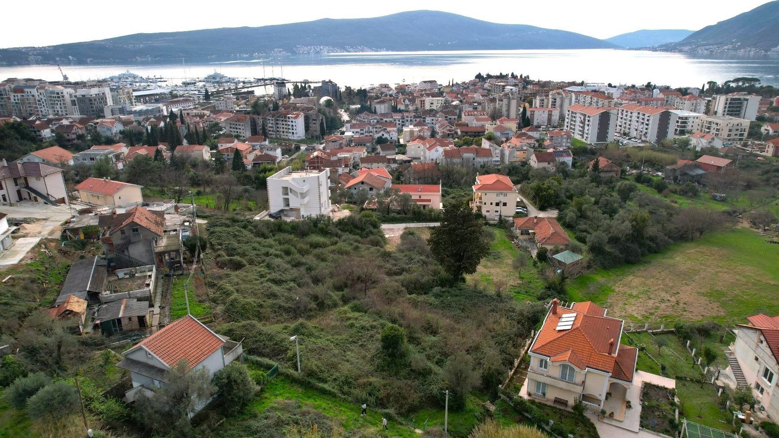 b61cf4d0-41c4-4cb8-8200-17a7d5972e51