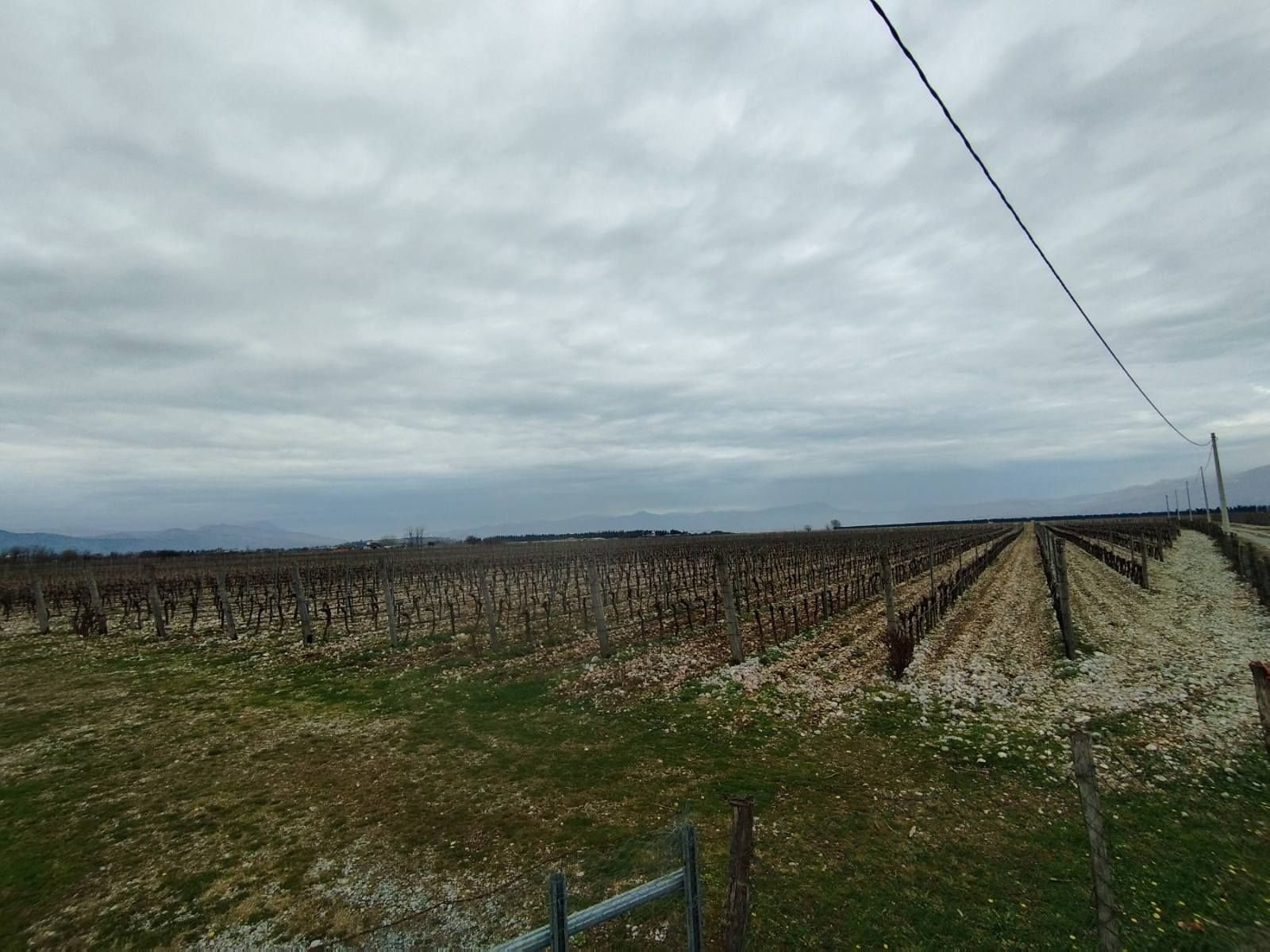 c5ec32bb-4d41-49ca-a7ee-11a8aabca827