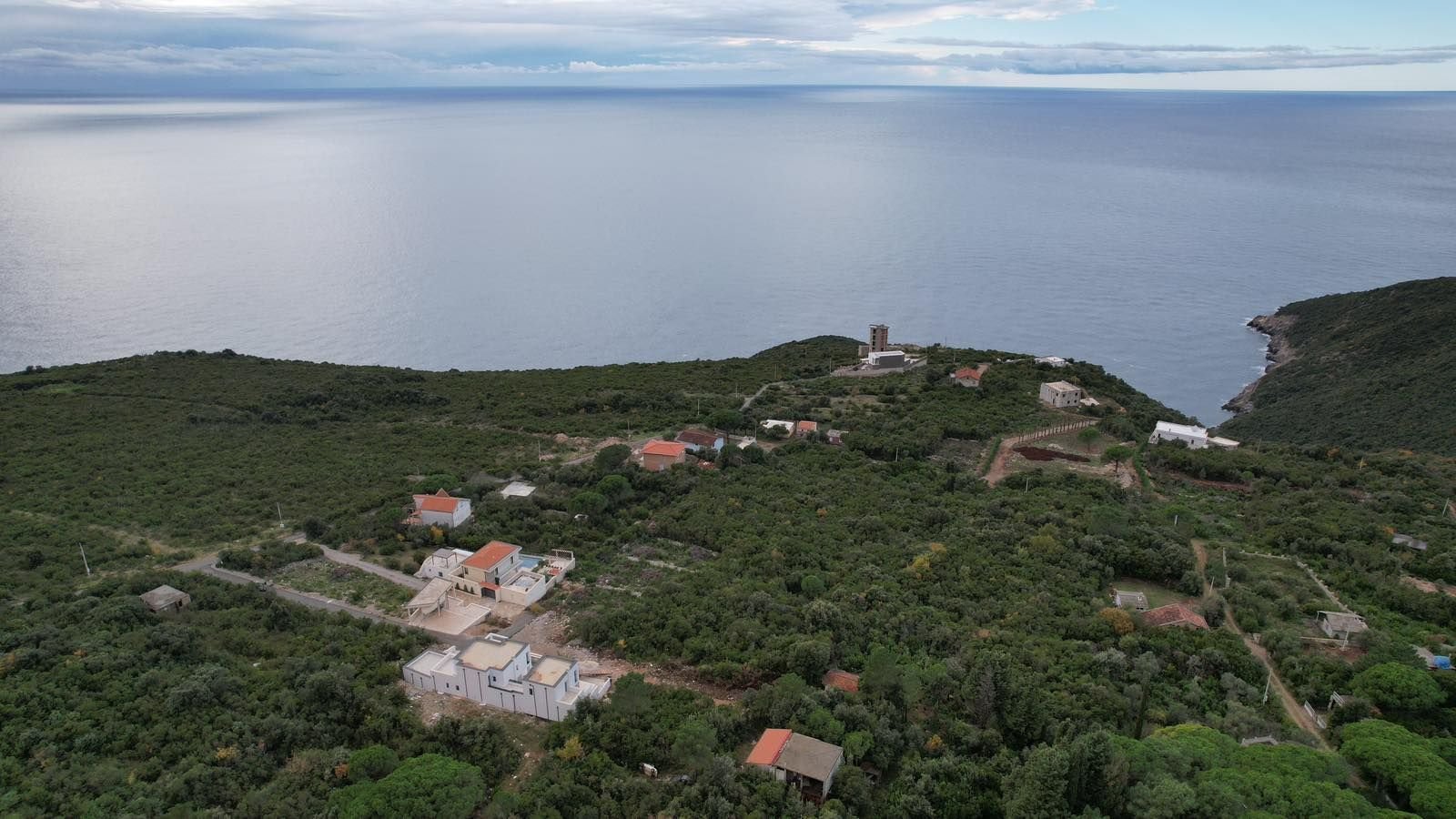 d067d855-90be-497f-b5e5-f1c93c14d946