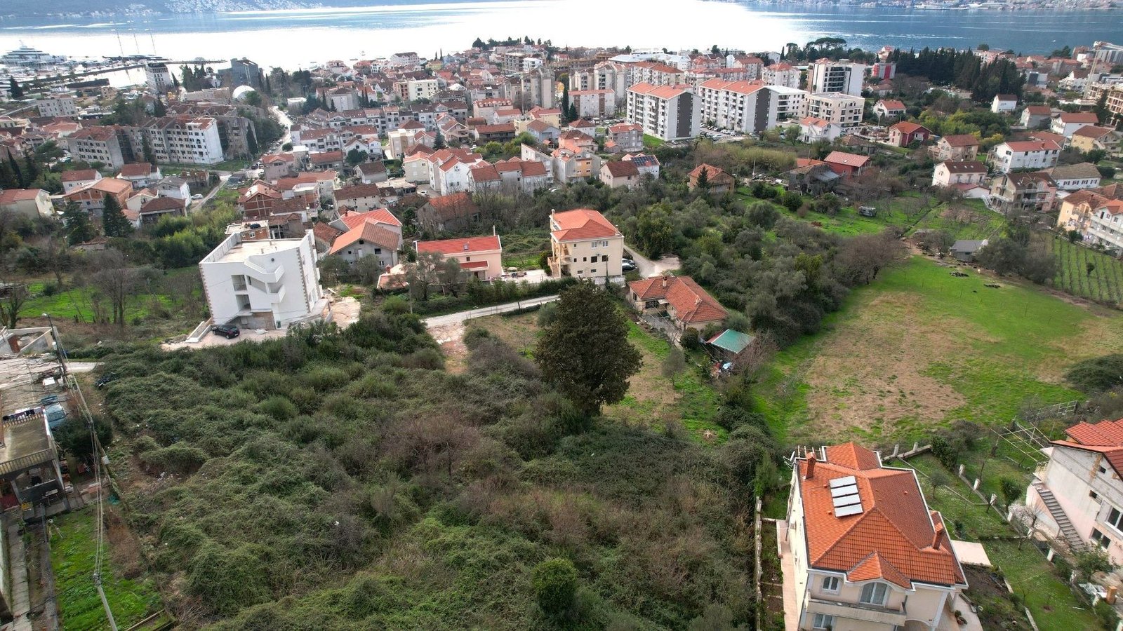 e007d772-1c09-4104-a974-48a5552b8f87