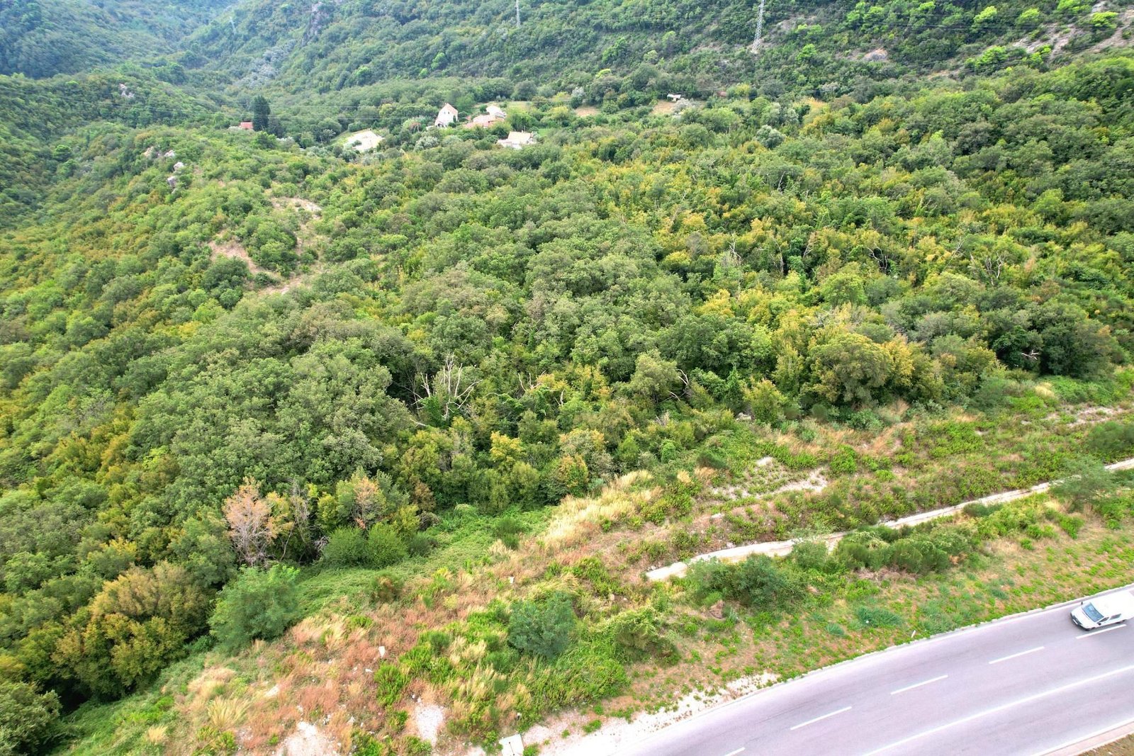 e84f4497-bf97-499b-937a-bbfbaa340bcb