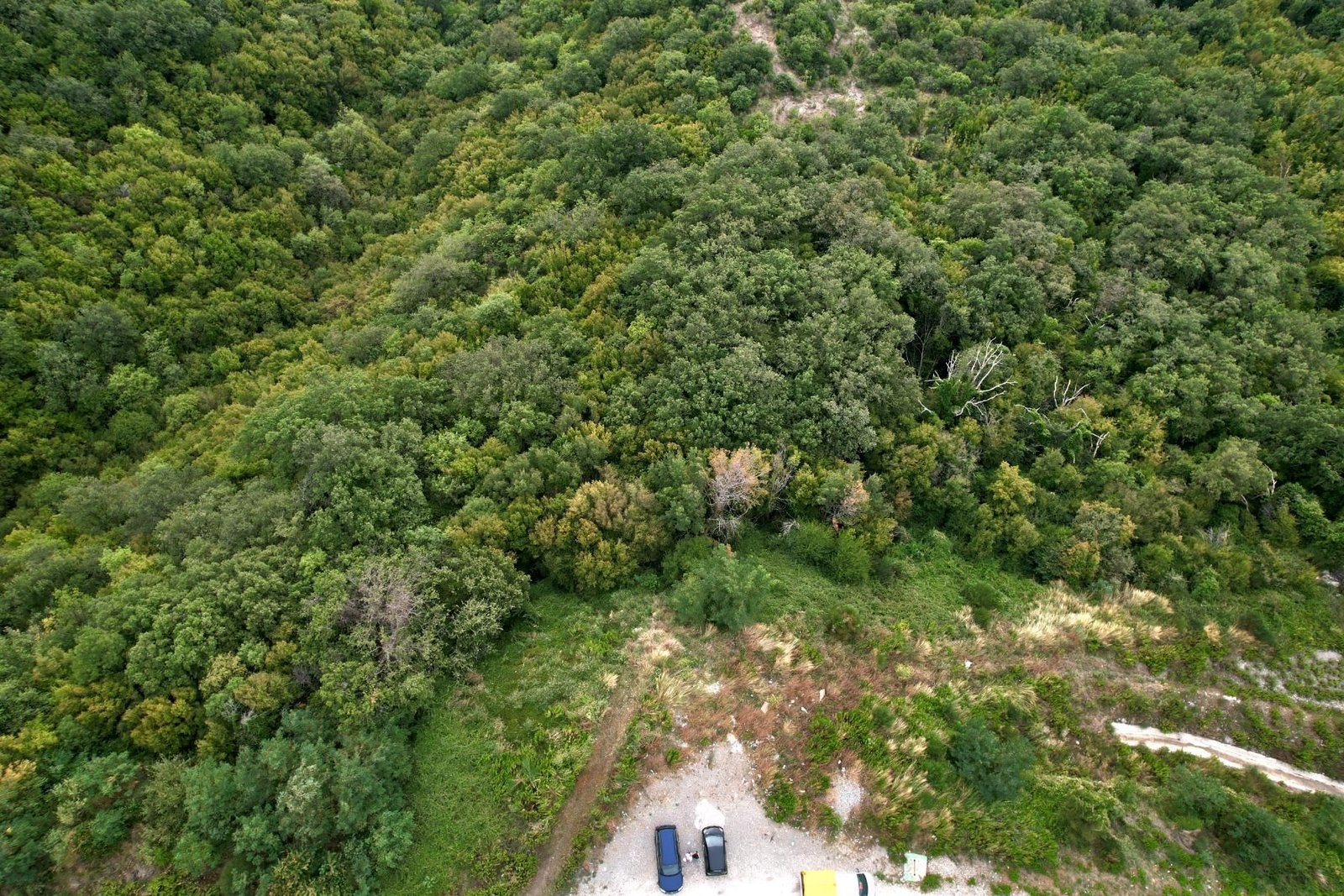 e9a088c1-2fc5-479c-81c4-32546fcc3e85