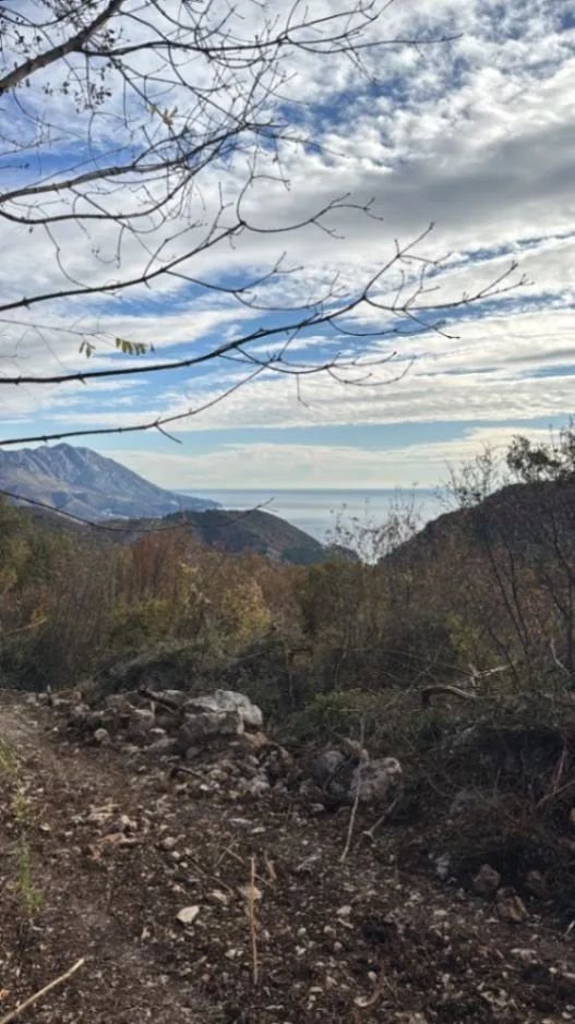 ef12d988-9c31-429a-b050-8c9bf2db285a