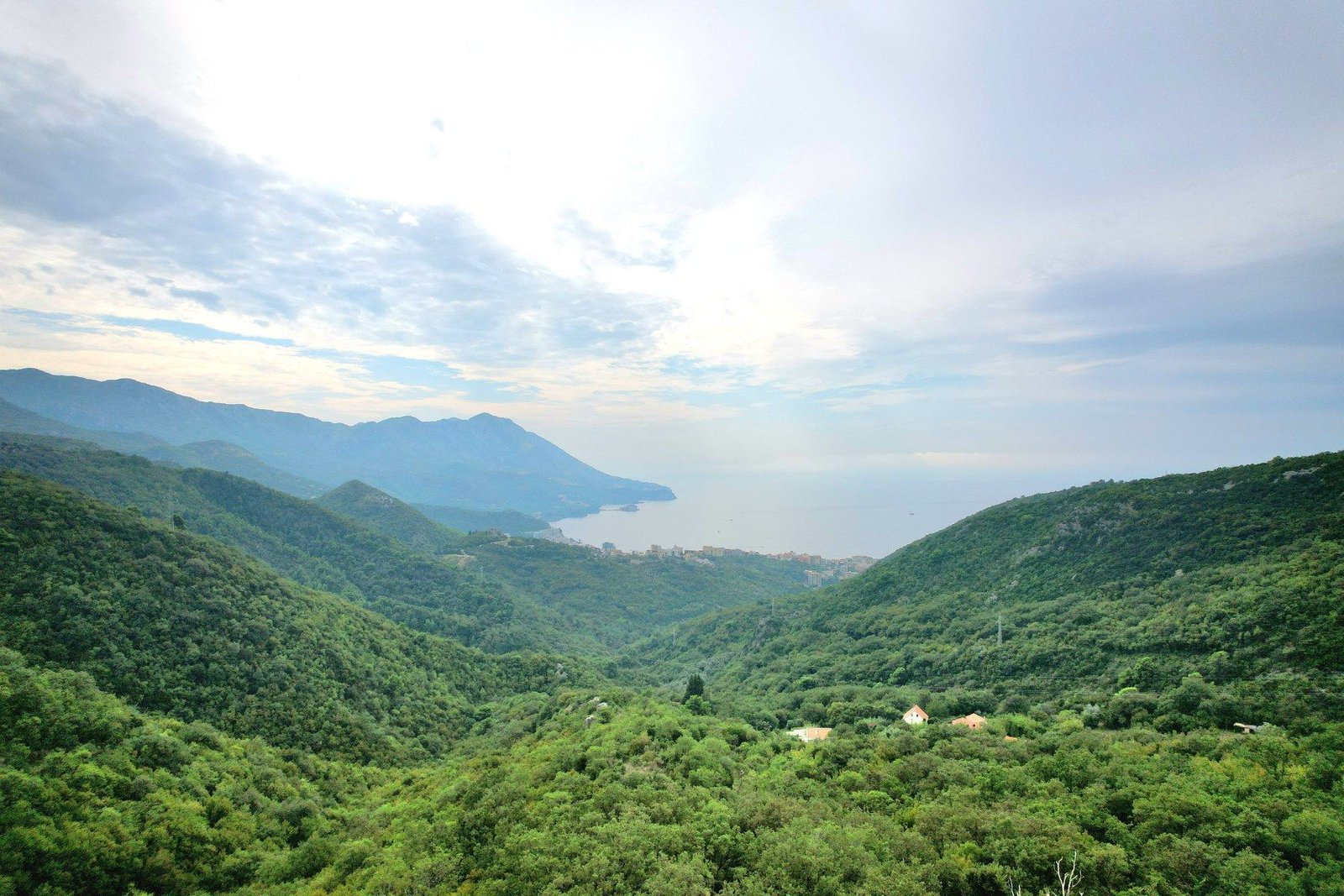 f03c70ff-9891-44ba-b8be-b747f044b40e