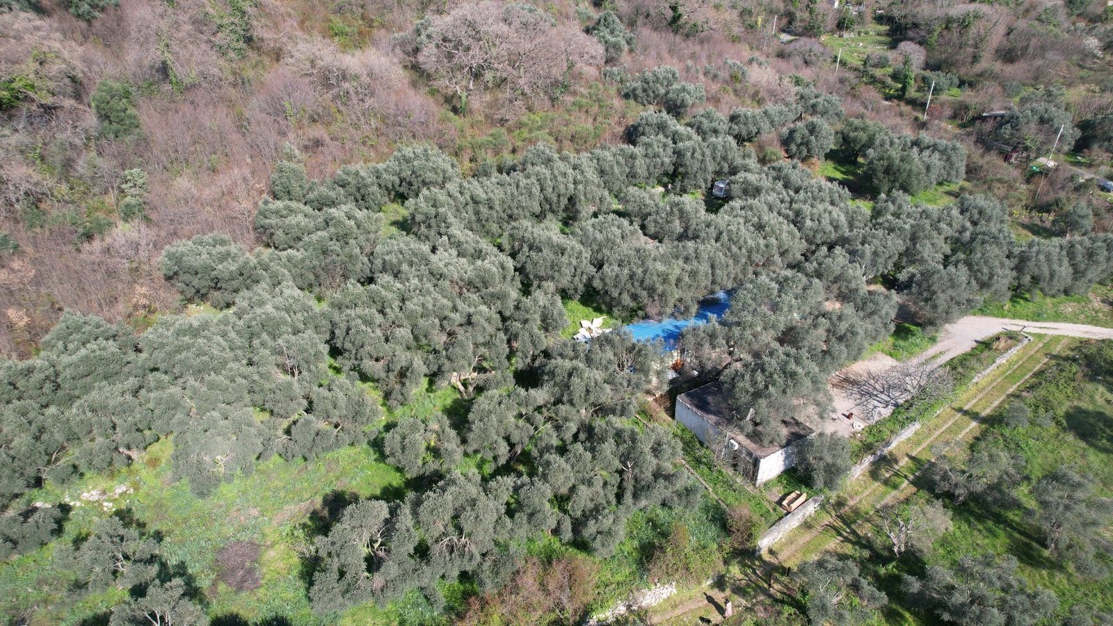 f1fdfc89-dc83-4d38-8747-1bc16597faf7