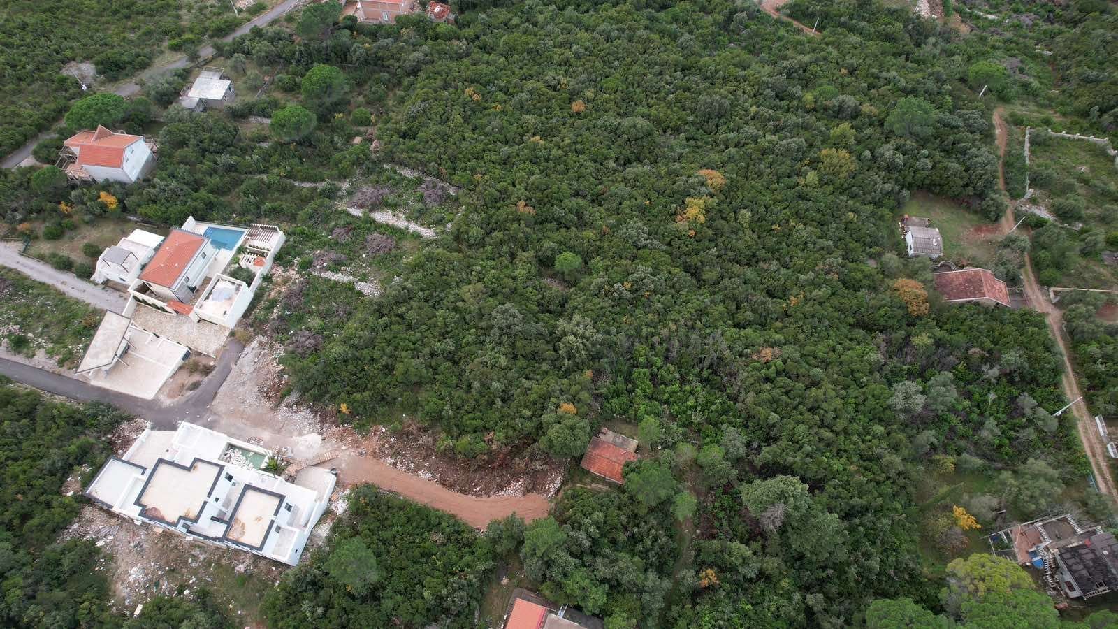 f2955b63-a520-4bfd-a380-5cb5c15c16bd